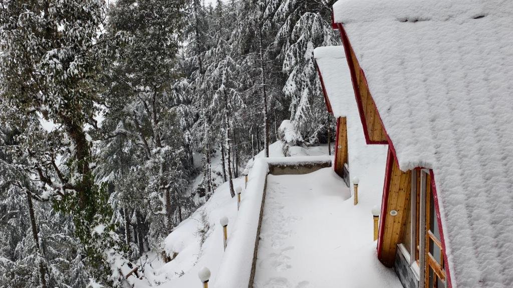 Eva Cabins Structural Architecture